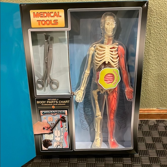 SmartLab Human Body Model - Picture 3 of 6